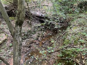 TBD County Road 3303 - Photo 19