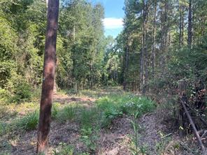 TBD County Road 3303 - Photo 2