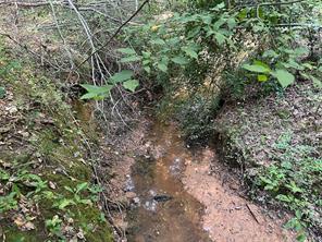 TBD County Road 3303 - Photo 20