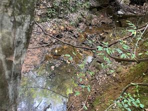 TBD County Road 3303 - Photo 22
