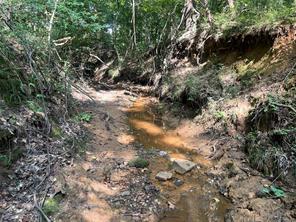 TBD County Road 3303 - Photo 23