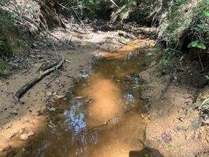 TBD County Road 3303 - Photo 24