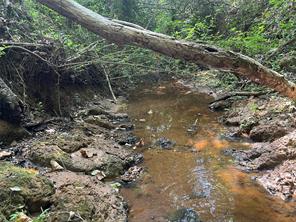 TBD County Road 3303 - Photo 25