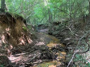 TBD County Road 3303 - Photo 27