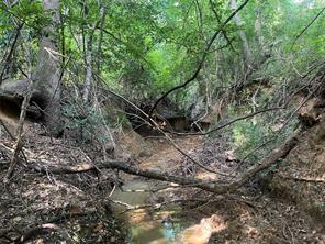 TBD County Road 3303 - Photo 28
