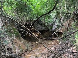 TBD County Road 3303 - Photo 29