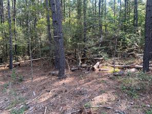 TBD County Road 3303 - Photo 3