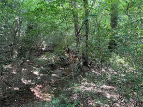 TBD County Road 3303 - Photo 34