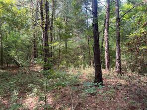 TBD County Road 3303 - Photo 35