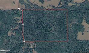 TBD County Road 3303 - Photo 39