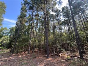 TBD County Road 3303 - Photo 4