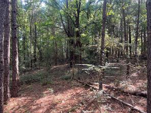 TBD County Road 3303 - Photo 6