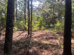 TBD County Road 3303 - Photo 7