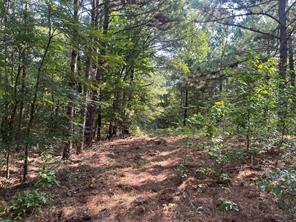 TBD County Road 3303 - Photo 9
