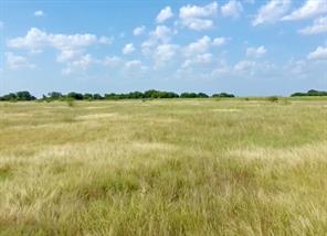 5393 County Road 4102 - Photo 1