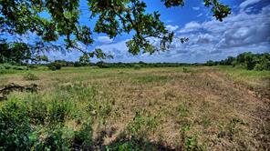 1179 County Road 1470 - Photo 1