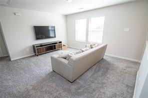 107 Goosewood Drive - Photo 8