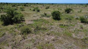 0000 County Road 161 - Photo 1