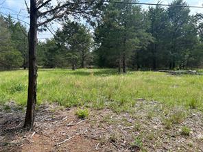 Lot 1 North Shore Road - Photo 10