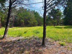 Lot 1 North Shore Road - Photo 8