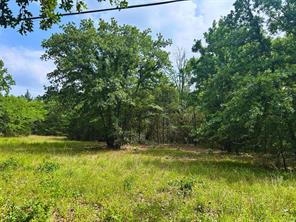 Lot 2 North Shore Road - Photo 3