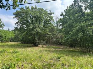 Lot 2 North Shore Road - Photo 6