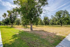 943 E Landings - Photo 13