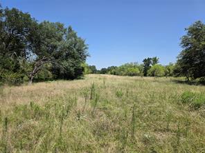 450 County Road 250 - Photo 10