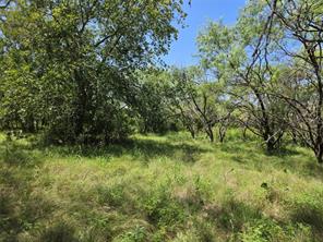450 County Road 250 - Photo 11