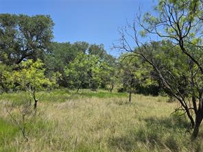 450 County Road 250 - Photo 15