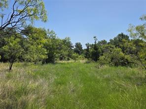 450 County Road 250 - Photo 16