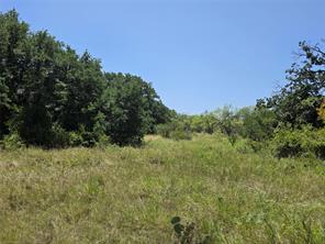 450 County Road 250 - Photo 18