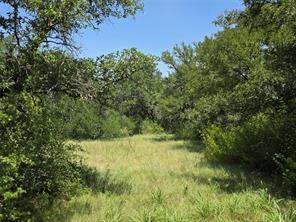 450 County Road 250 - Photo 21
