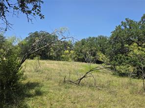 450 County Road 250 - Photo 22