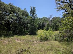 450 County Road 250 - Photo 26