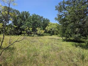 450 County Road 250 - Photo 28
