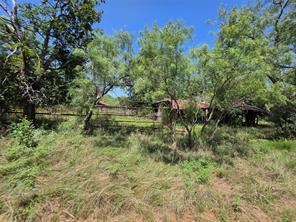 450 County Road 250 - Photo 3