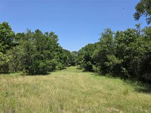 450 County Road 250 - Photo 31