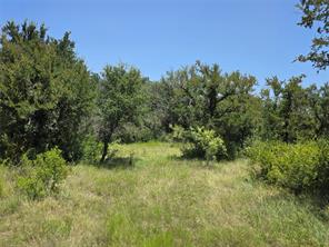 450 County Road 250 - Photo 35