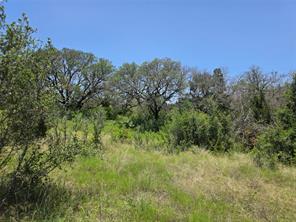 450 County Road 250 - Photo 36