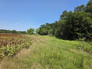 450 County Road 250 - Photo 39