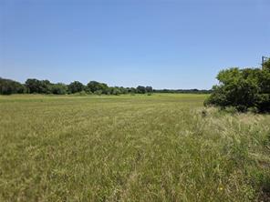 450 County Road 250 - Photo 6