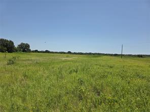 450 County Road 250 - Photo 9