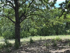 Tract 3 Well Service Road - Photo 8