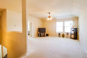 5005 Spyglass Hill Lane - Photo 23