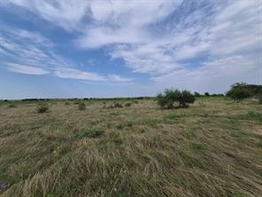 LOT 1 County Road 627 - Photo 10