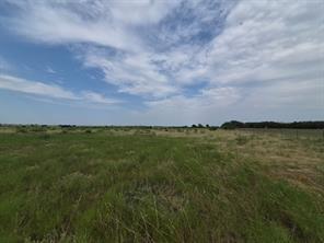 LOT 1 County Road 627 - Photo 3