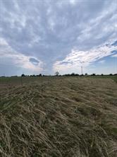 LOT 1 County Road 627 - Photo 4