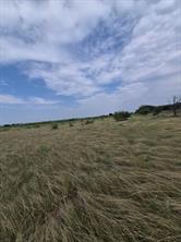 LOT 1 County Road 627 - Photo 5