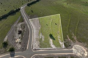 TBD Tract 5 Hank Williams Way - Photo 1